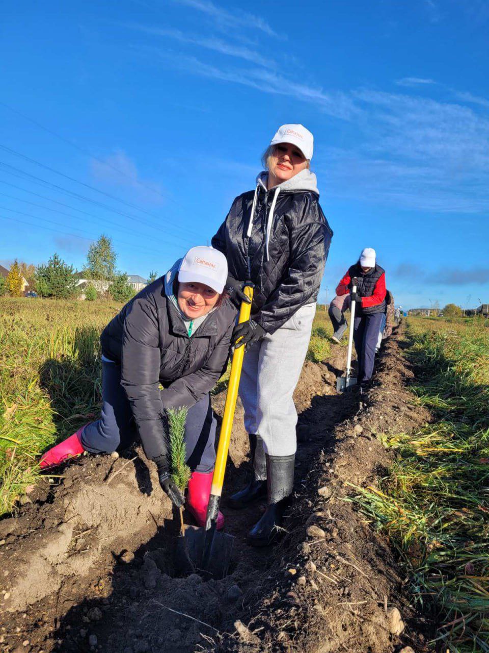 greening-campaign-2025